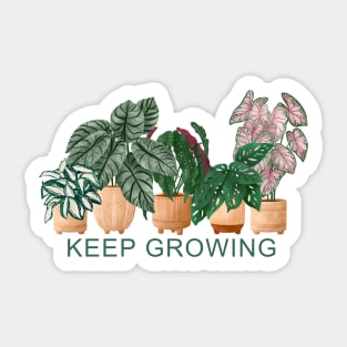 Keep Growing, House Plants Illustration 7 Sticker